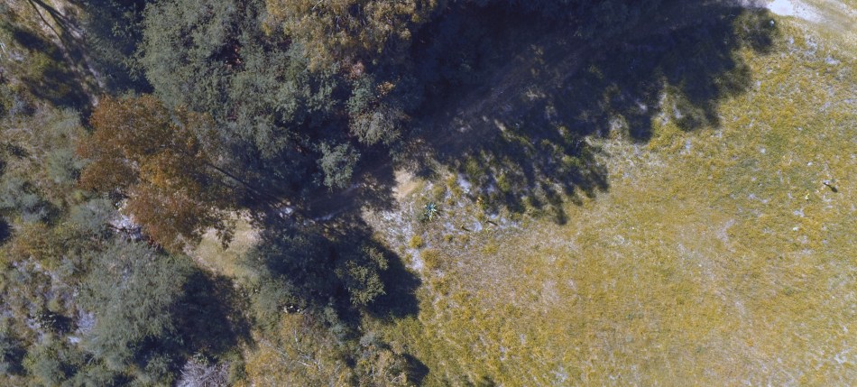 Sombras y luces II.JPG